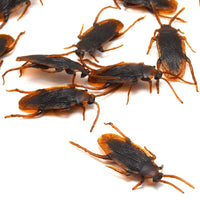 12pcs Artificial Lifelike Cockroach Halloween Trick Spoof Props