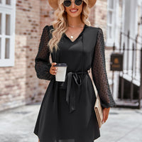 Tied Swiss Dot Long Sleeve Mini Dress