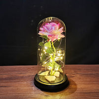 Eternal LED Lighted Rose Flower In Glass Covered Dome
