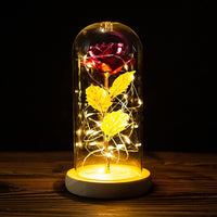 Eternal LED Lighted Rose Flower In Glass Covered Dome
